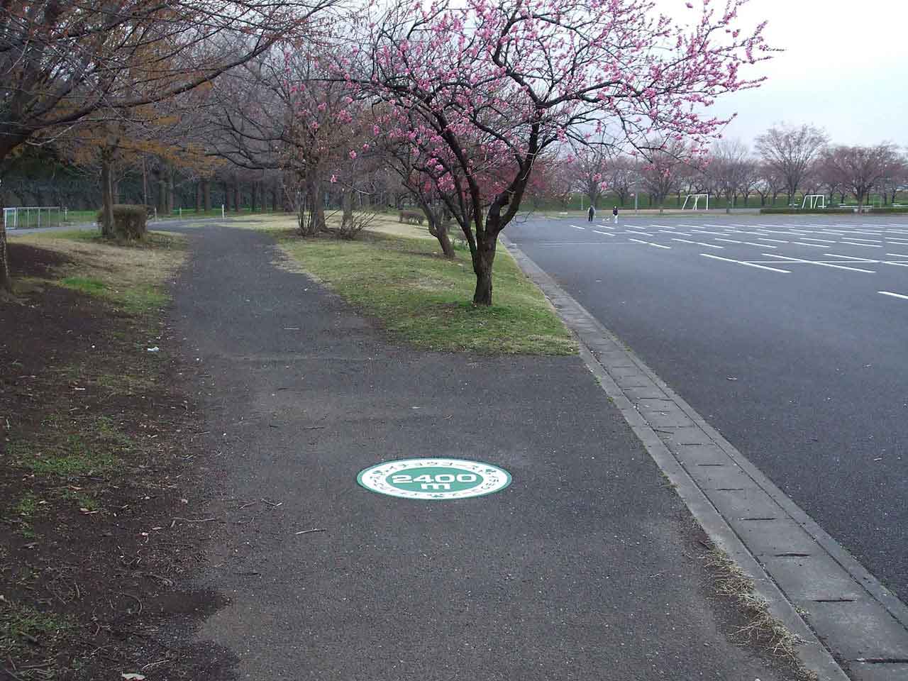 ジョギングコース　川越水上公園