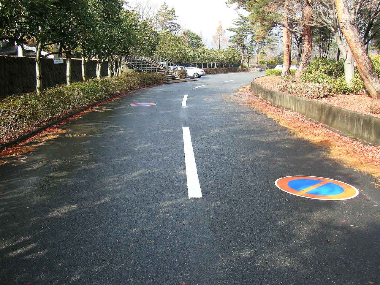 駐停車禁止型（316）標識マーク