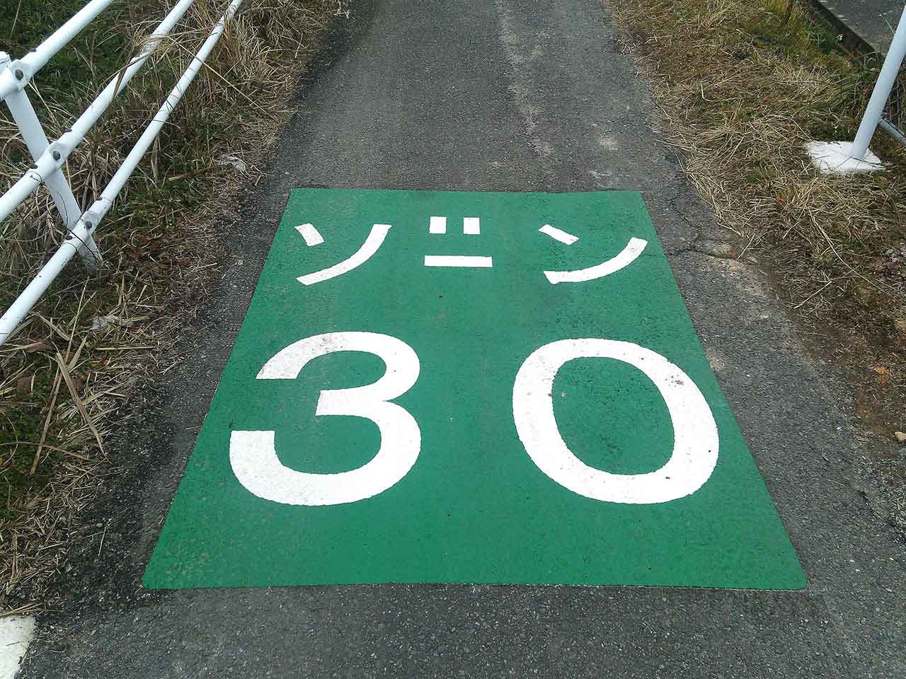 ゾーン30