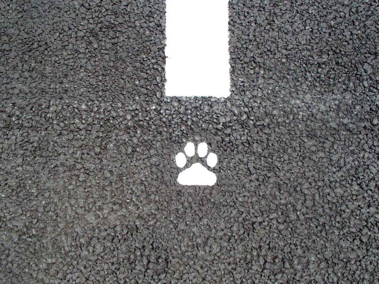 駐車場デザインライン【犬の足跡】