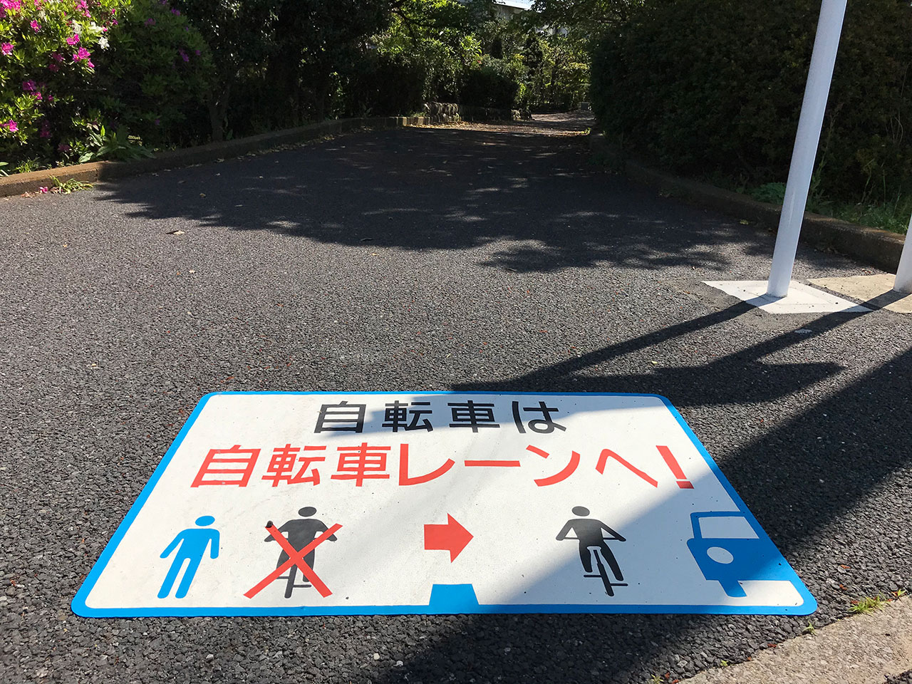 自転車は自転車レーンへ