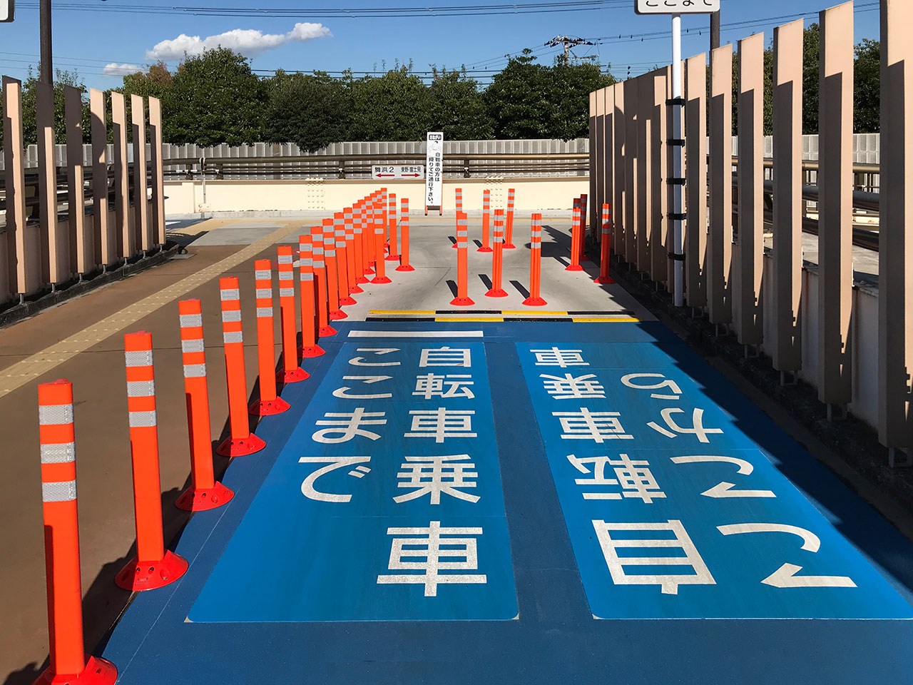 自転車乗車ここから・自転車乗車ここまで