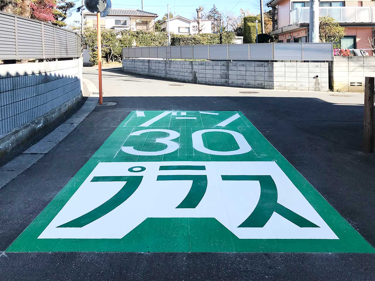 ゾーン30プラス
