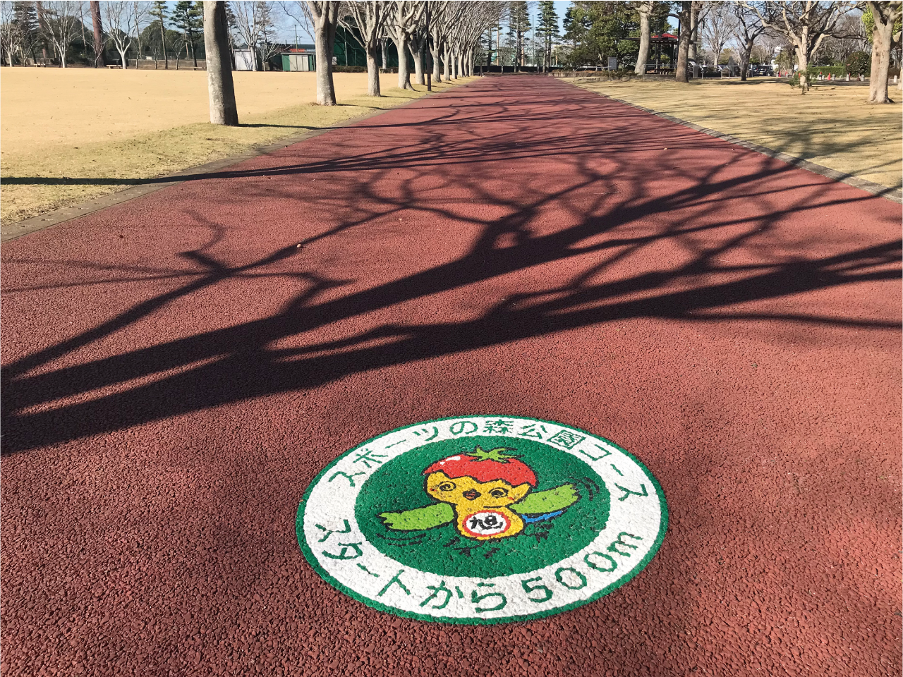 ウォーキングコース【旭スポーツの森公園】