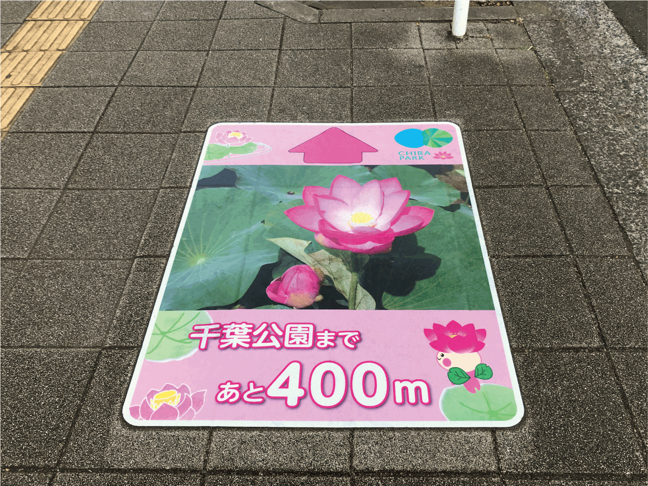 誘導案内【千葉公園】